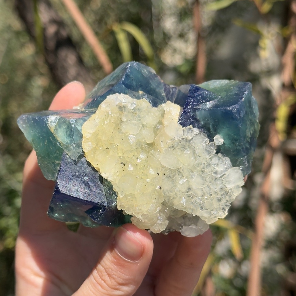 Color Changing Flourite with Calcite 🩵🥝🩵 CCF1